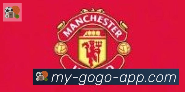 GOGO体育官网合作伙伴